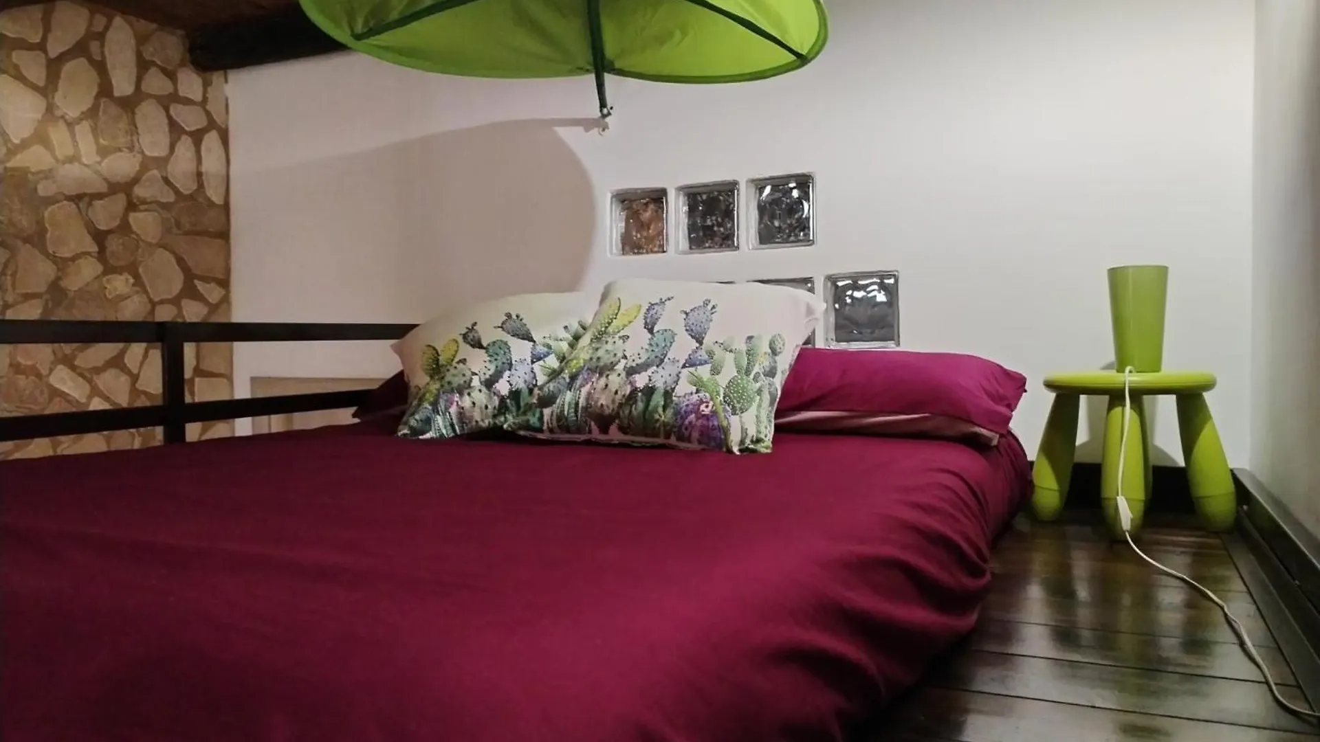 Cactus 31 Apartment Syracuse